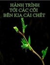 Hành Trình Tới Các Cõi Bên Kia Cái Chết