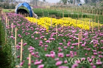 Bấm vào hình để xem slide Show