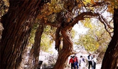 Bấm vào hình để xem slide Show