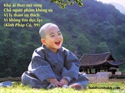 Bấm vào hình để xem slide Show
