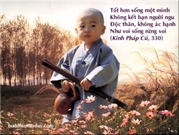Bấm vào hình để xem slide Show