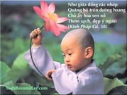 Bấm vào hình để xem slide Show