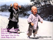 Bấm vào hình để xem slide Show