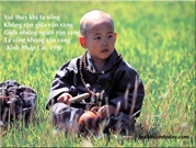 Bấm vào hình để xem slide Show