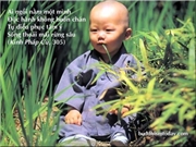 Bấm vào hình để xem slide Show