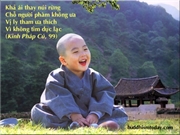 Bấm vào hình để xem slide Show