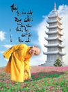 Bấm vào hình để xem slide Show