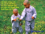 Bấm vào hình để xem slide Show