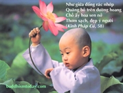 Bấm vào hình để xem slide Show