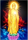 Bấm vào hình để xem slide Show