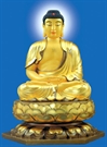 Bấm vào hình để xem slide Show