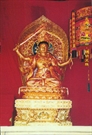 Bấm vào hình để xem slide Show