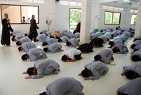 Bấm vào hình để xem slide Show