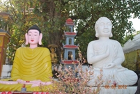 Bấm vào hình để xem slide Show