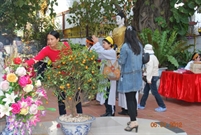 Bấm vào hình để xem slide Show
