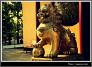 Bấm vào hình để xem slide Show