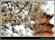 Bấm vào hình để xem slide Show