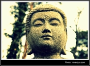 Bấm vào hình để xem slide Show