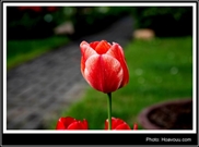 Bấm vào hình để xem slide Show
