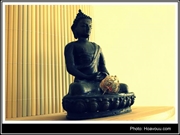 Bấm vào hình để xem slide Show