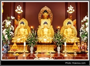 Bấm vào hình để xem slide Show