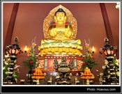 Bấm vào hình để xem slide Show