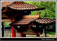 Bấm vào hình để xem slide Show