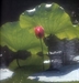 人生重來談何易