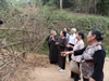 Thông tin tiếp về vụ 