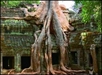 A Buddhist ruin