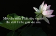 Niệm Phật như gạo bỏ vào bình báu
