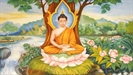 The life of Budda (BBC)