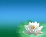 《大智度論》中四無量心的地位及修持