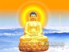 Suy nghĩ về thế kỷ mới của người tu Phật