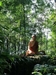 Agitation at the Sacred Zen Door