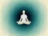 Zen and the Brain