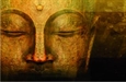 Zen and Pragmatism--A Reply (Comment and Disussion)