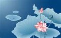 ｅ世紀往生傳之微笑生西  清香四溢