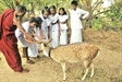 Nuances of loving kindness