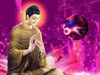 The Buddha & the Angry Young Man