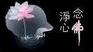 念佛感應見聞記9