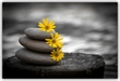 Meditation: HereNowNeverNowhere