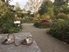 “There Is Also Joy”—Mindfulness-based Dementia Care