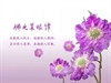 佛光菜根譚2-4