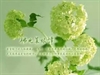 佛光菜根譚3-3