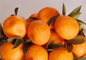 Táo đỏ, lê quýt có tồn dư thuốc bảo vệ thực vật cao nhất