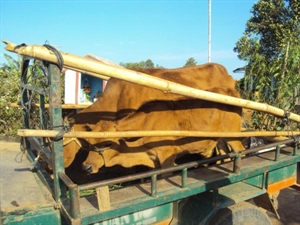 Đạo Tràng Phật Đắc giúp nhau sinh kế