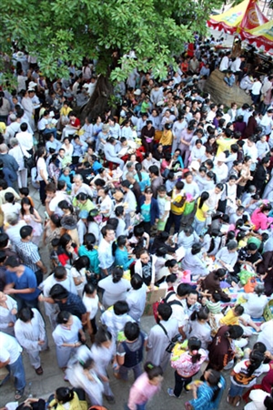 Tỏa sáng đêm Di-đà