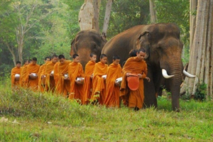 Từ ái