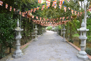 Nét đẹp cổ kính ở chùa Viên Đình